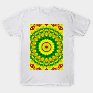 Mandalas and energies T-Shirt